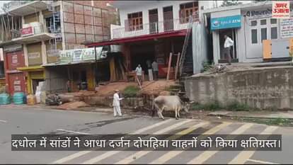 VIDEO : Bulls damaged half a dozen two wheelers in Dadhol