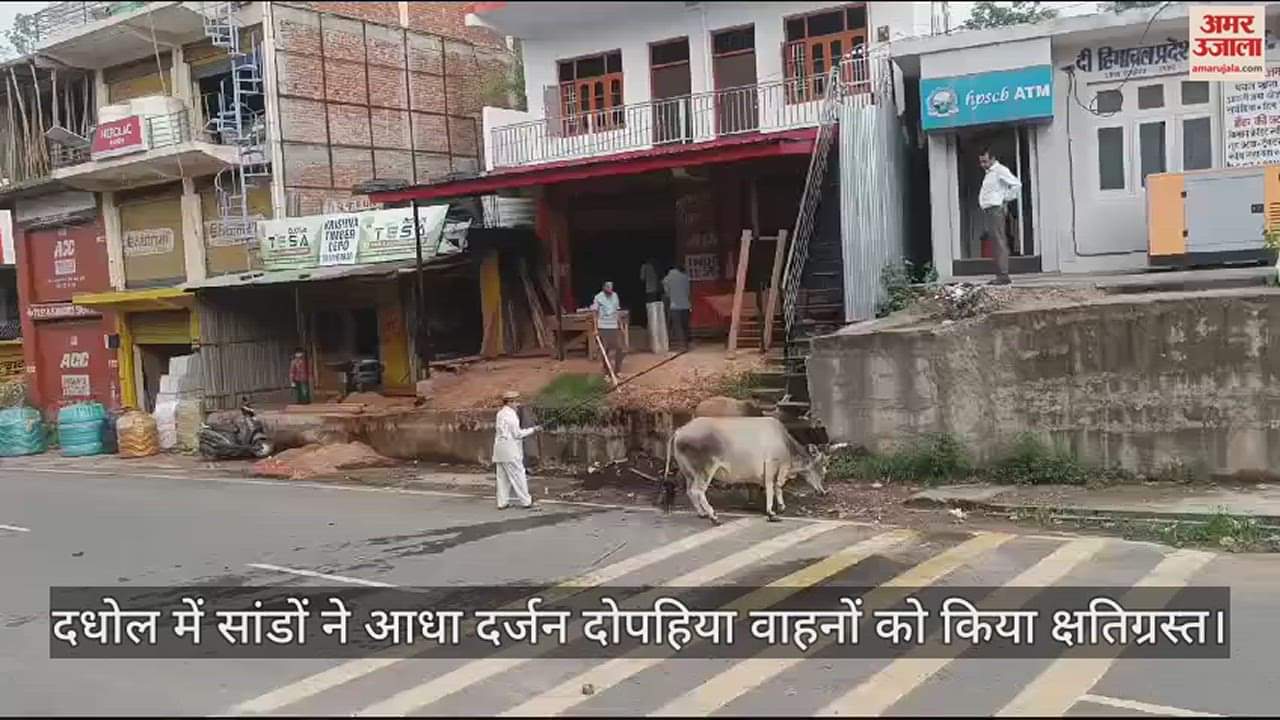 VIDEO : Bulls damaged half a dozen two wheelers in Dadhol