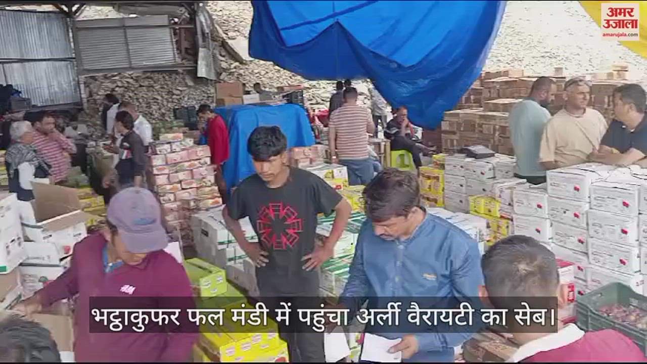 VIDEO : Early variety apples and thick-stemmed pears arrived in Bhattakufar fruit market