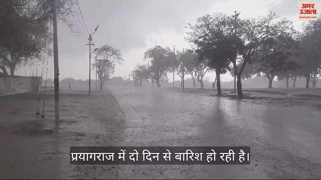 VIDEO : Monsoon arrived with drizzling rain, temperature dropped rapidly, pleasant weather.