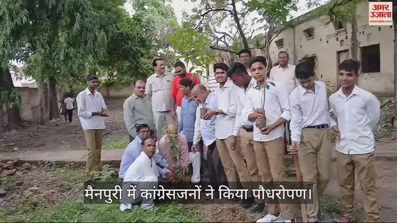 VIDEO : मैनपुरी में कांग्रेसजनों ने किया पौधरोपण, पर्यावरण के प्रति लोगों को किया जागरूक