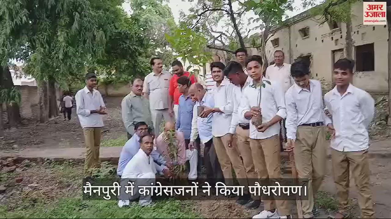 VIDEO : मैनपुरी में कांग्रेसजनों ने किया पौधरोपण, पर्यावरण के प्रति लोगों को किया जागरूक
