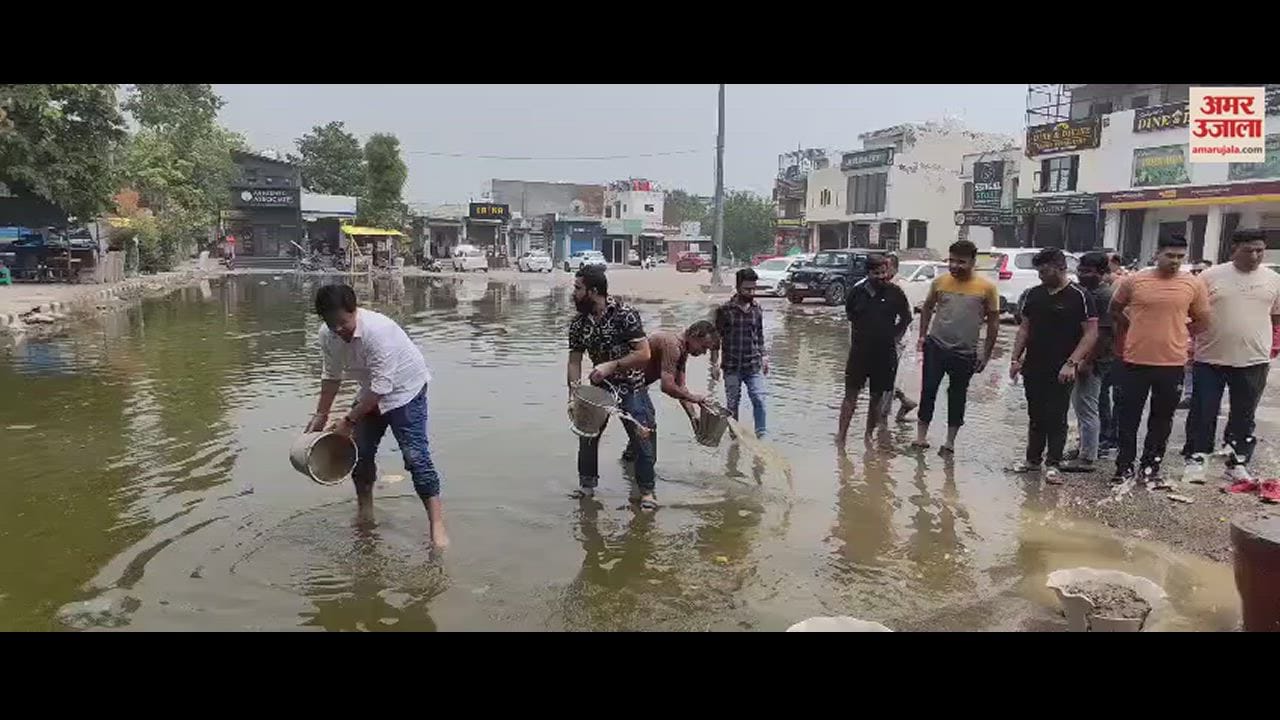 VIDEO : पानीपत सेक्टर-12 शॉपिंग सेंटर से नहीं हुआ गंदे पानी की निकासी का समाधान, बाल्टियां लेकर निकाले लोग