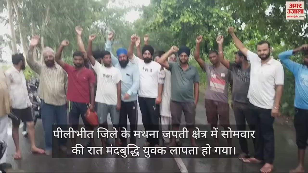 पीलीभीत टाइगर रिजर्व में बाघ