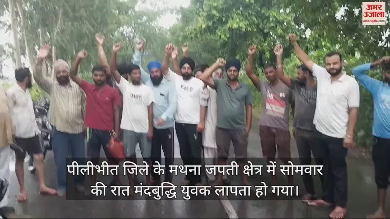 पीलीभीत टाइगर रिजर्व में बाघ