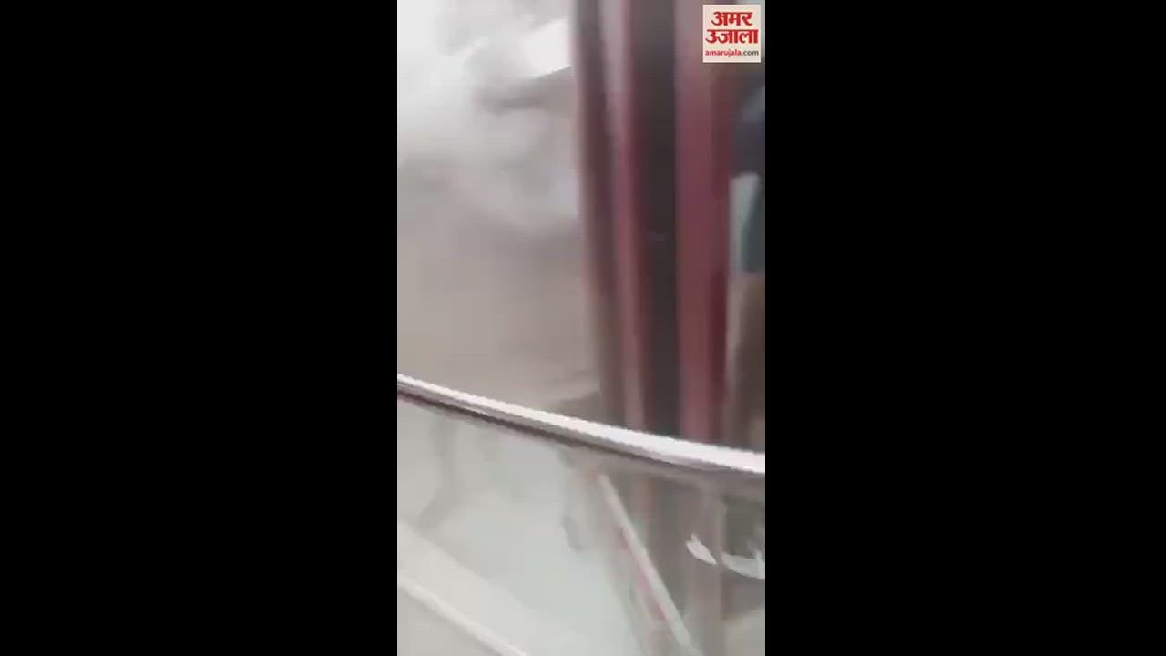 VIDEO : नोएडा के लॉजिक्स मॉल में लगी आग
