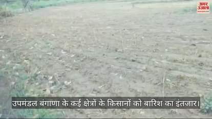 VIDEO : Farmers of many areas of subdivision Bangana are waiting for rain