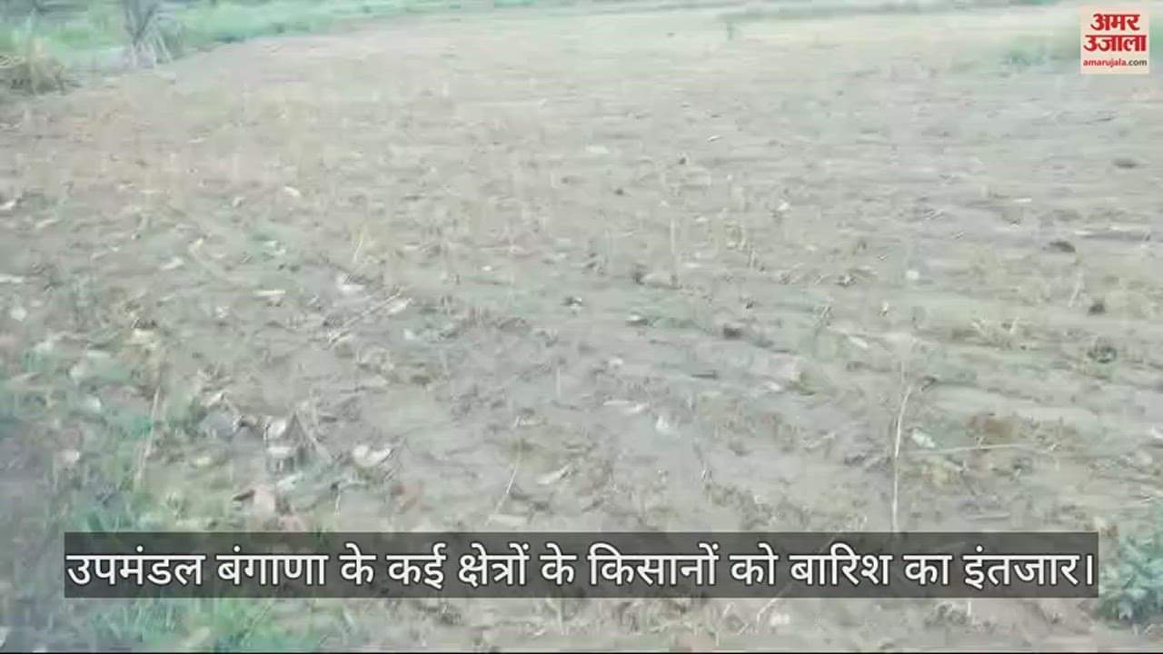 VIDEO : Farmers of many areas of subdivision Bangana are waiting for rain