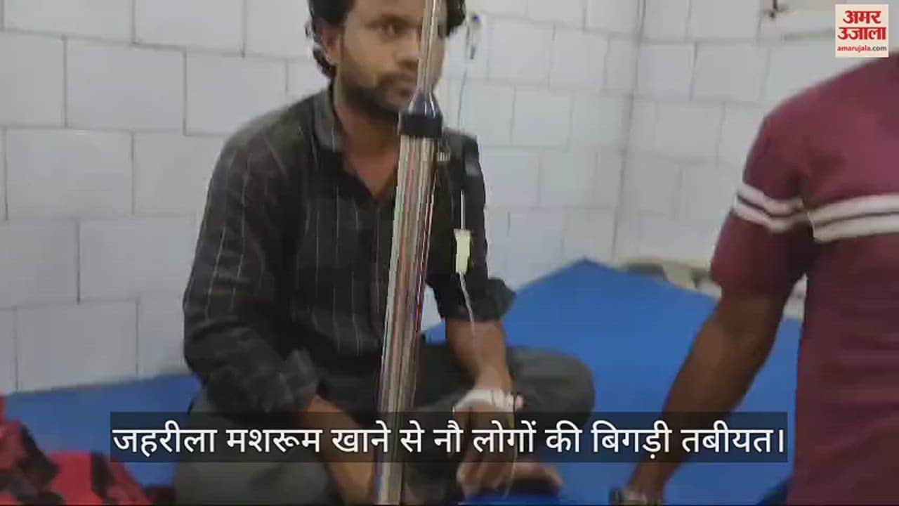 VIDEO : जहरीला मशरूम खाने से एक ही परिवार के नौ सदस्य बीमार, एक बच्ची की मौत, घर में पसरा मातम