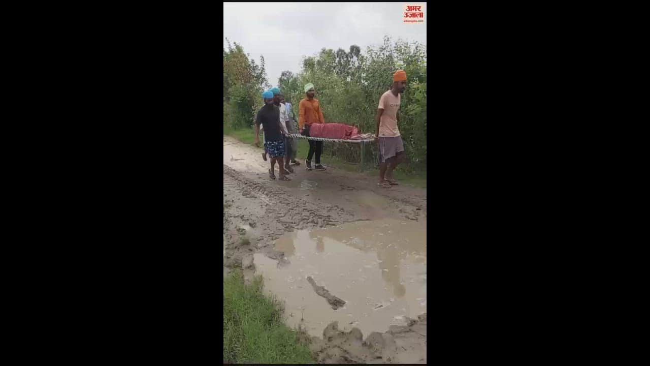 VIDEO : बारिश में दलदल बना रास्ता, गर्भवती को चारपाई पर लिटाकर एंबुलेंस तक ले गए परिजन
