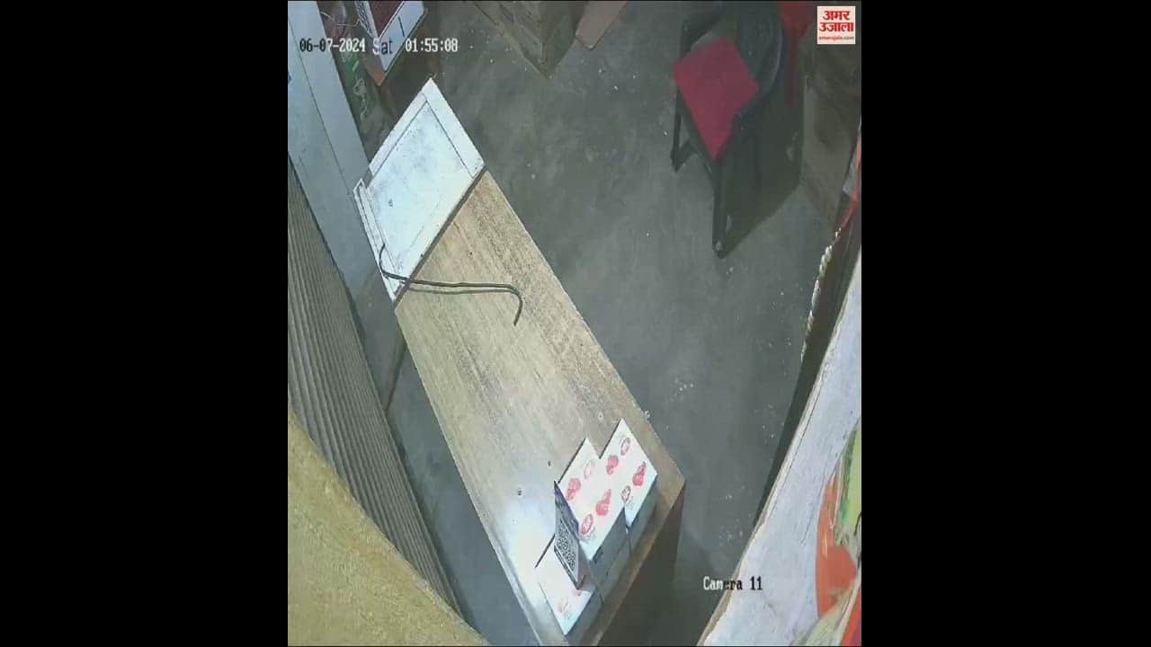 VIDEO : परचून दुकान का ताला तोड़कर की चोरी, सीसीटीवी कैमरे में कैद हुआ चोर