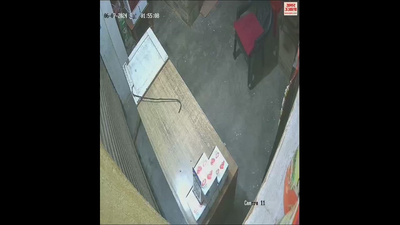 VIDEO : परचून दुकान का ताला तोड़कर की चोरी, सीसीटीवी कैमरे में कैद हुआ चोर