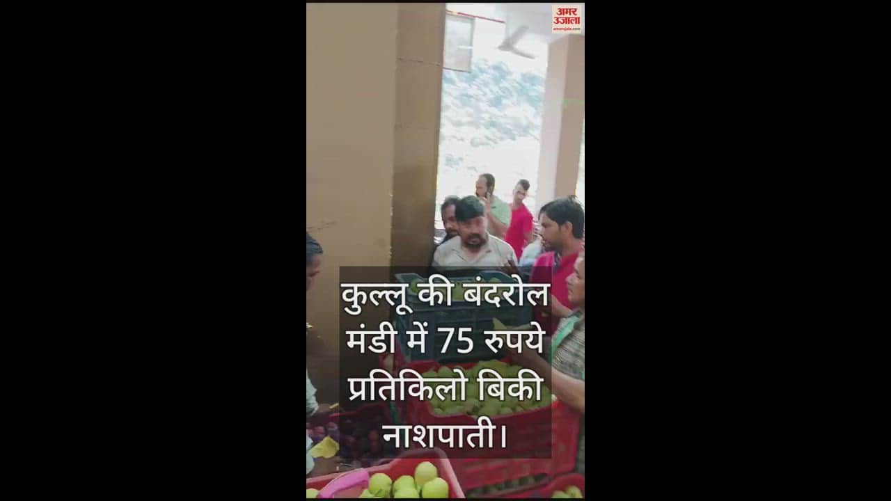 VIDEO : Pears sold at Rs 75 per kg in Bandrol mandi kullu