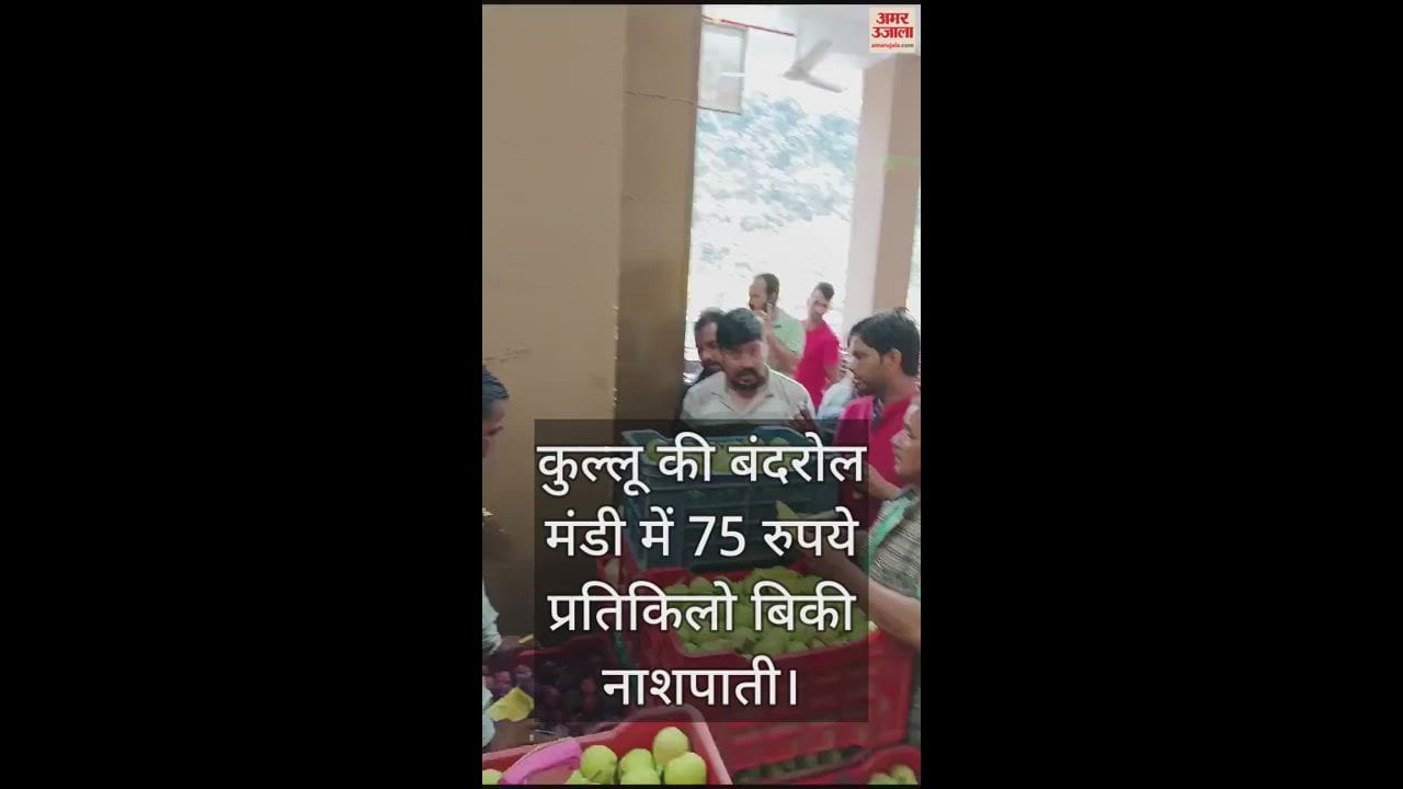 VIDEO : Pears sold at Rs 75 per kg in Bandrol mandi kullu