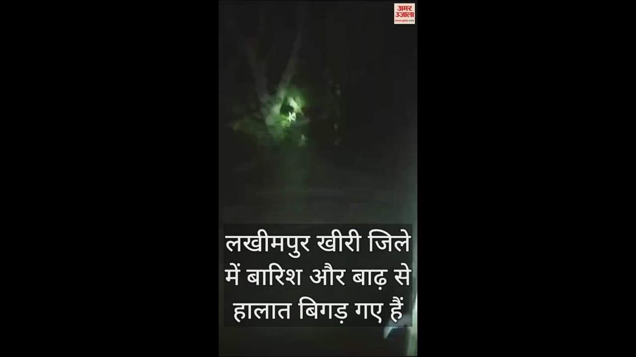 VIDEO : a middle aged man sitting on a tree for two hours in strong flow of water villagers rescued him In Lakhimpur K