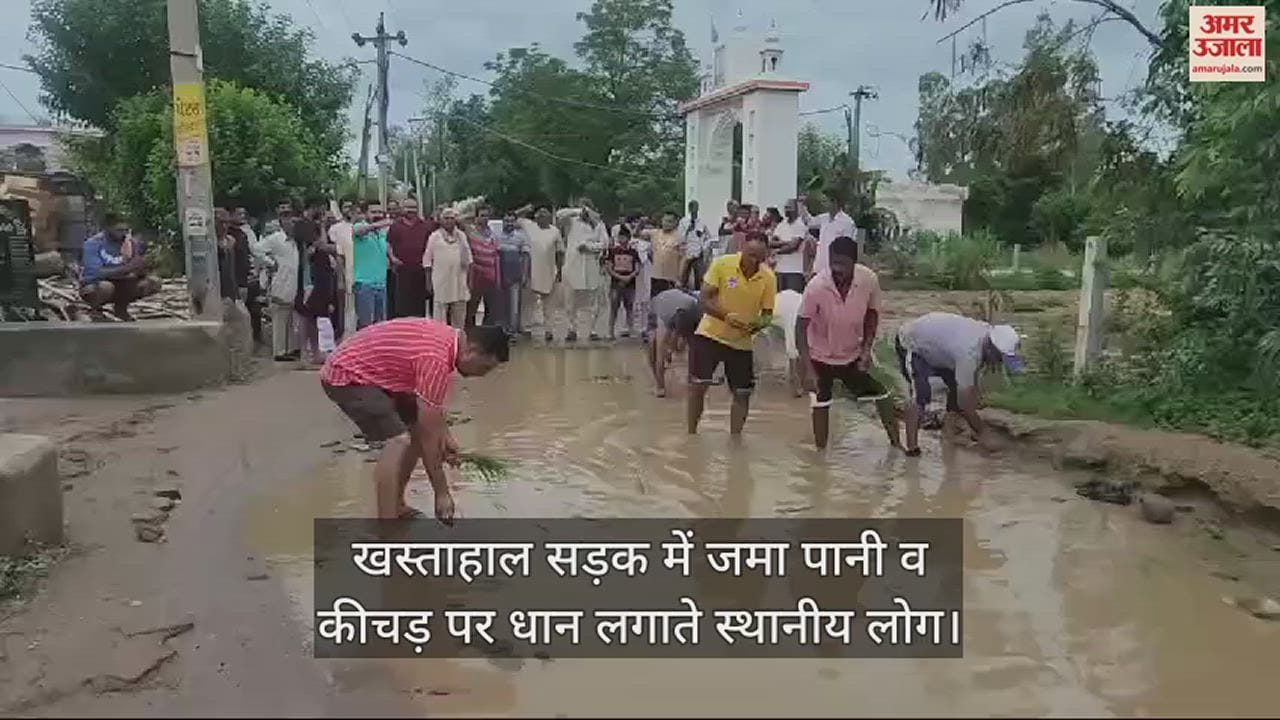 VIDEO : Punjab: खस्ताहाल सड़क पर भरा पानी और कीचड़, सैदों नौशहरा कल्याण समीति ने लगाए धान, प्रशासन का पुतला फूंका