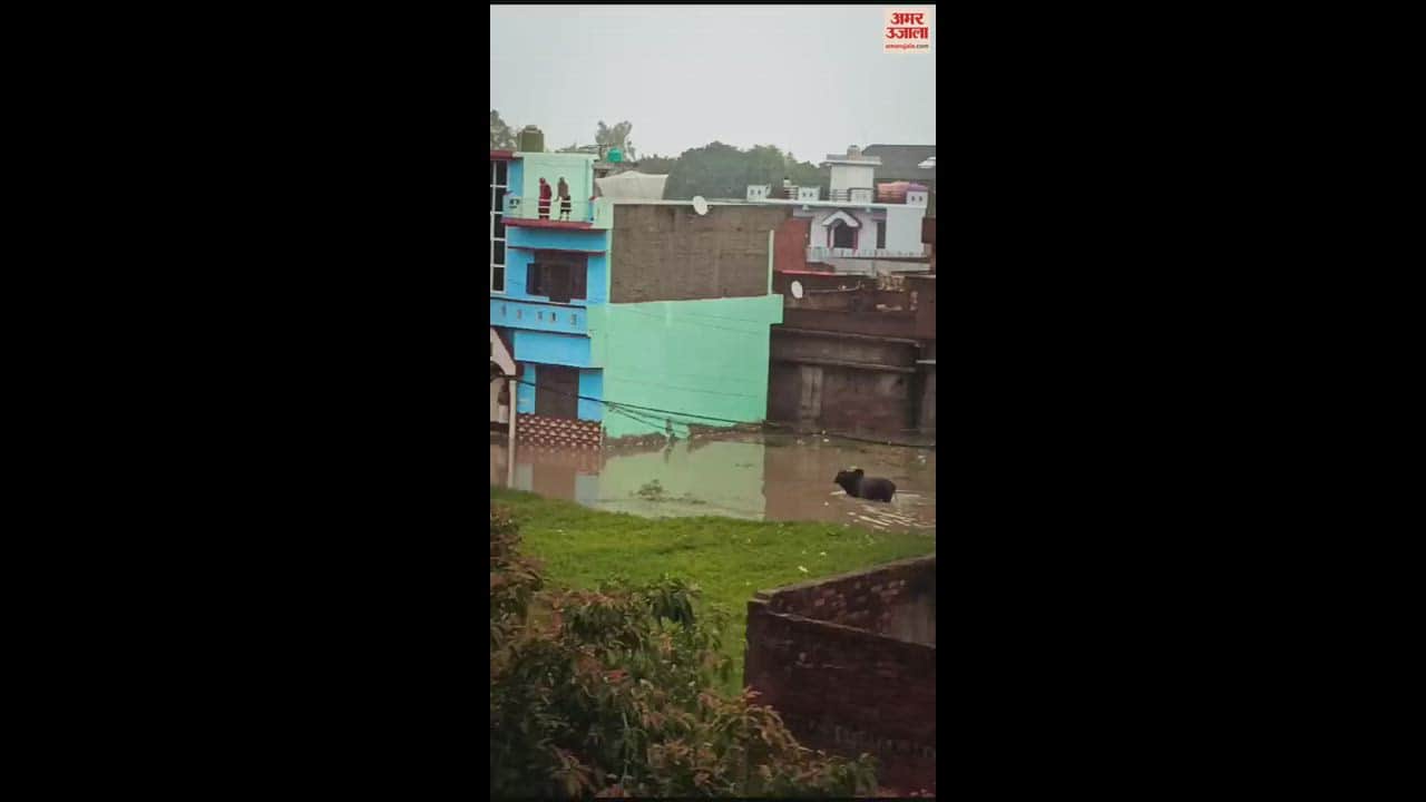 VIDEO : पीलीभीत शहर के बाद बीसलपुर में बाढ़ का कहर, कई गांव चपेट में, यातायात प्रभावित