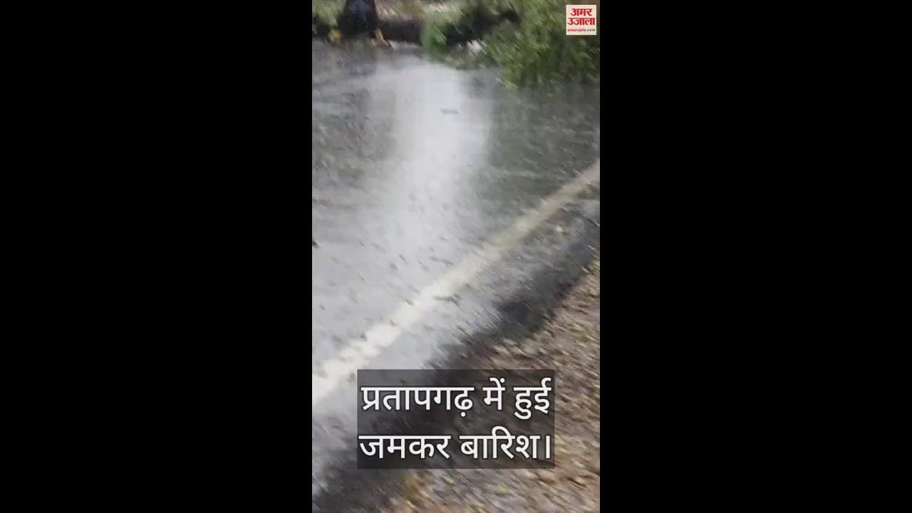 VIDEO : Youth dies after being hit by lightning in Pratapgarh