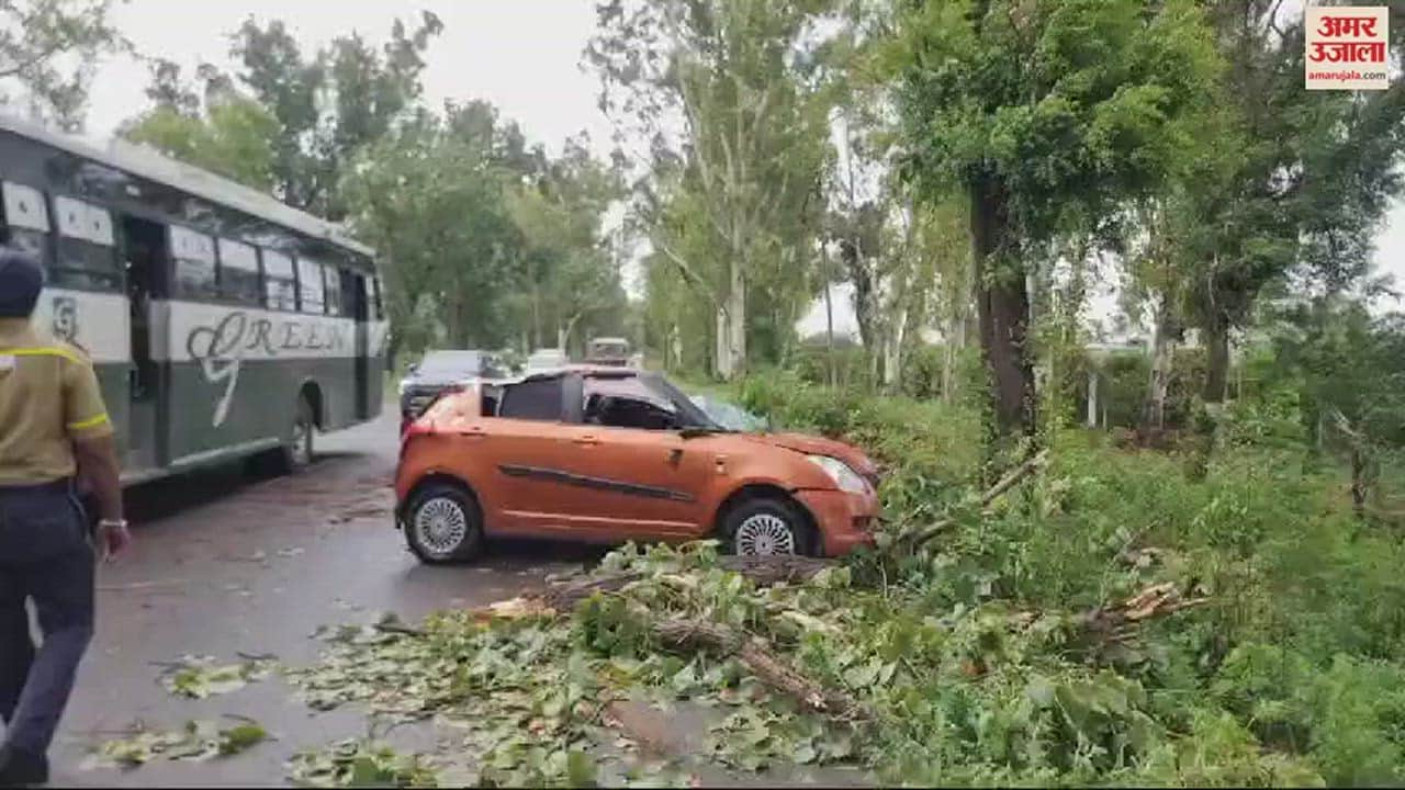 VIDEO : Tree Fell On Moving Car On Kotkapura Road In Faridkot, Girl Died