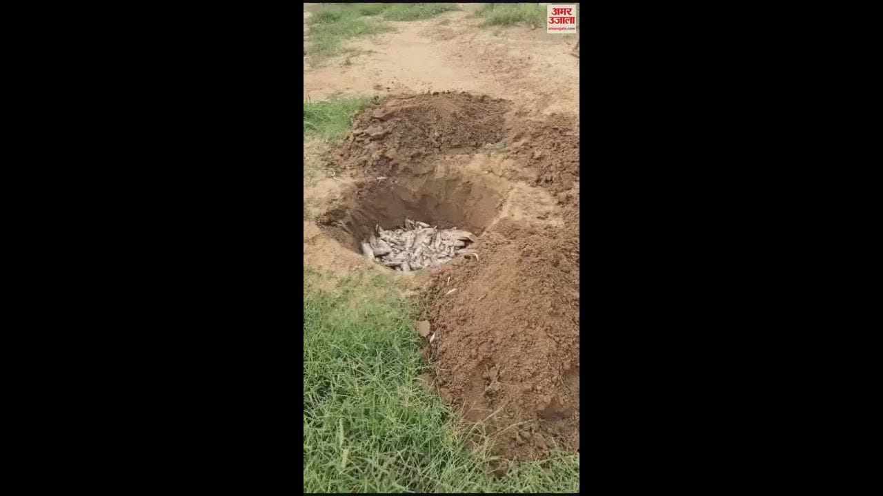VIDEO : फतेहाबाद के गांव मताना के जलघर में मरी हजारों मछलियां