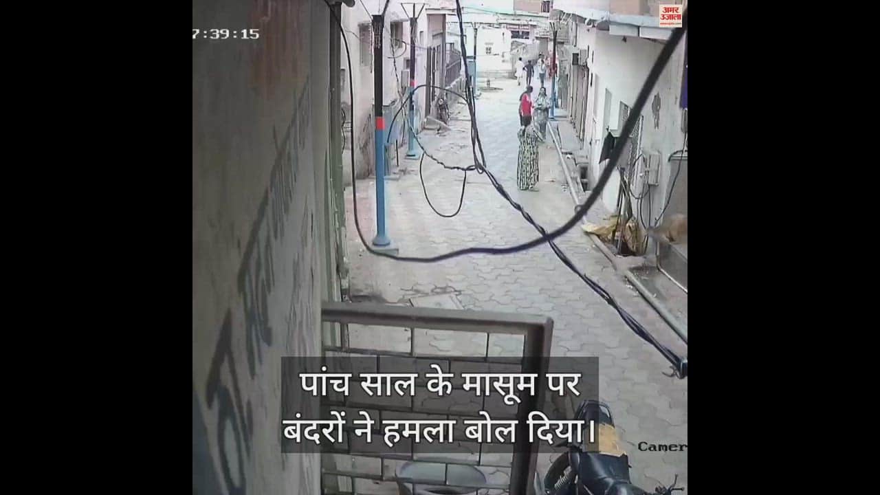 VIDEO : बंदरों ने किया पांच साल के मासूम पर हमला, शोर सुन दौड़े लोग....ऐसे बचाई जान; वीडियो हुआ वायरल