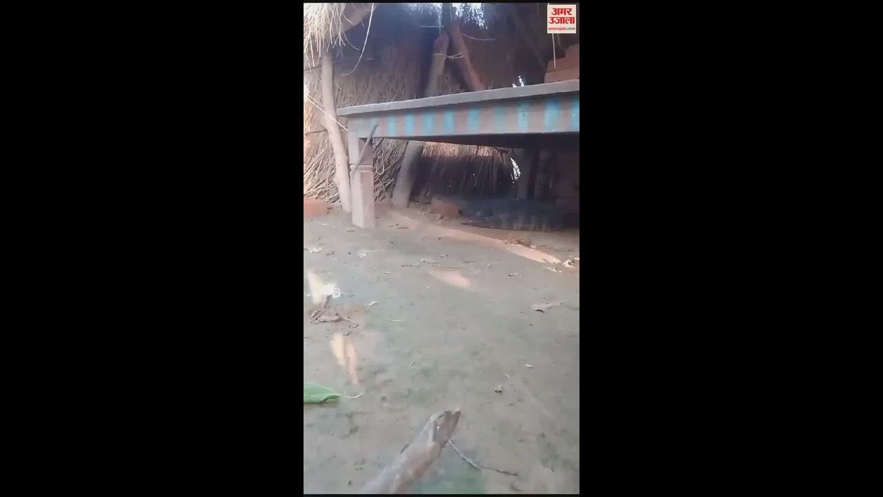 VIDEO : बाढ़ के बाद जीव-जंतुओं से खतरा, तख्त के नीचे पहुंचा मगरमच्छ, जाल में फंसी गोह