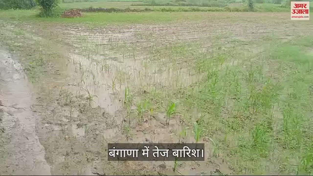 VIDEO : Heavy rain in Kharyalta Panchayat of Bangana area of Una