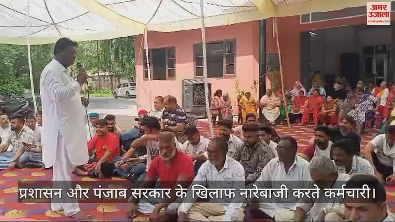 VIDEO : मांगों को लेकर कपूरथला नगर निगम के सफाई कर्मचारी अनिश्चितकालीन हड़ताल पर