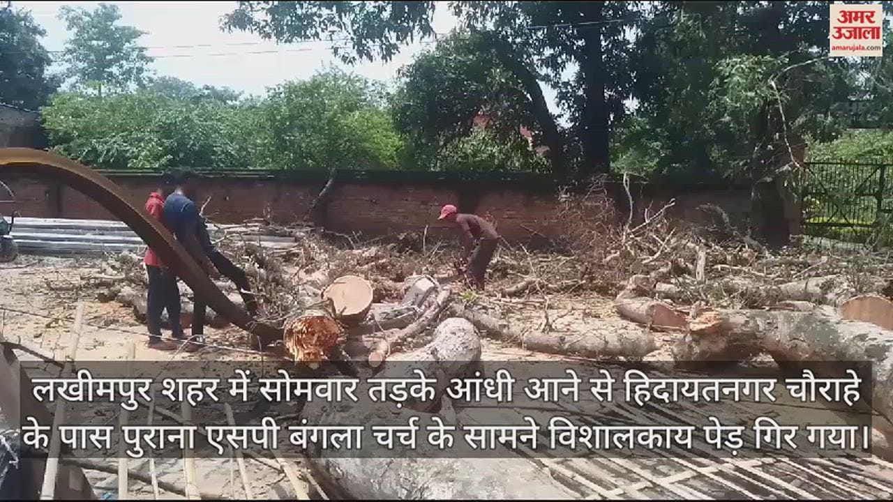 VIDEO : लखीमपुर में एसपी बंगला चर्च के सामने गिरा विशालकाय पेड़, 10 घंटे बंद रहा रास्ता