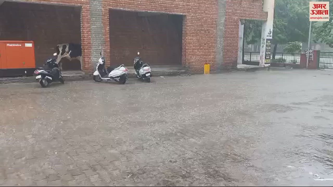VIDEO : कुरुक्षेत्र में झमाझम बारिश, किसानों के खिले चेहरे, गर्मी से मिली राहत