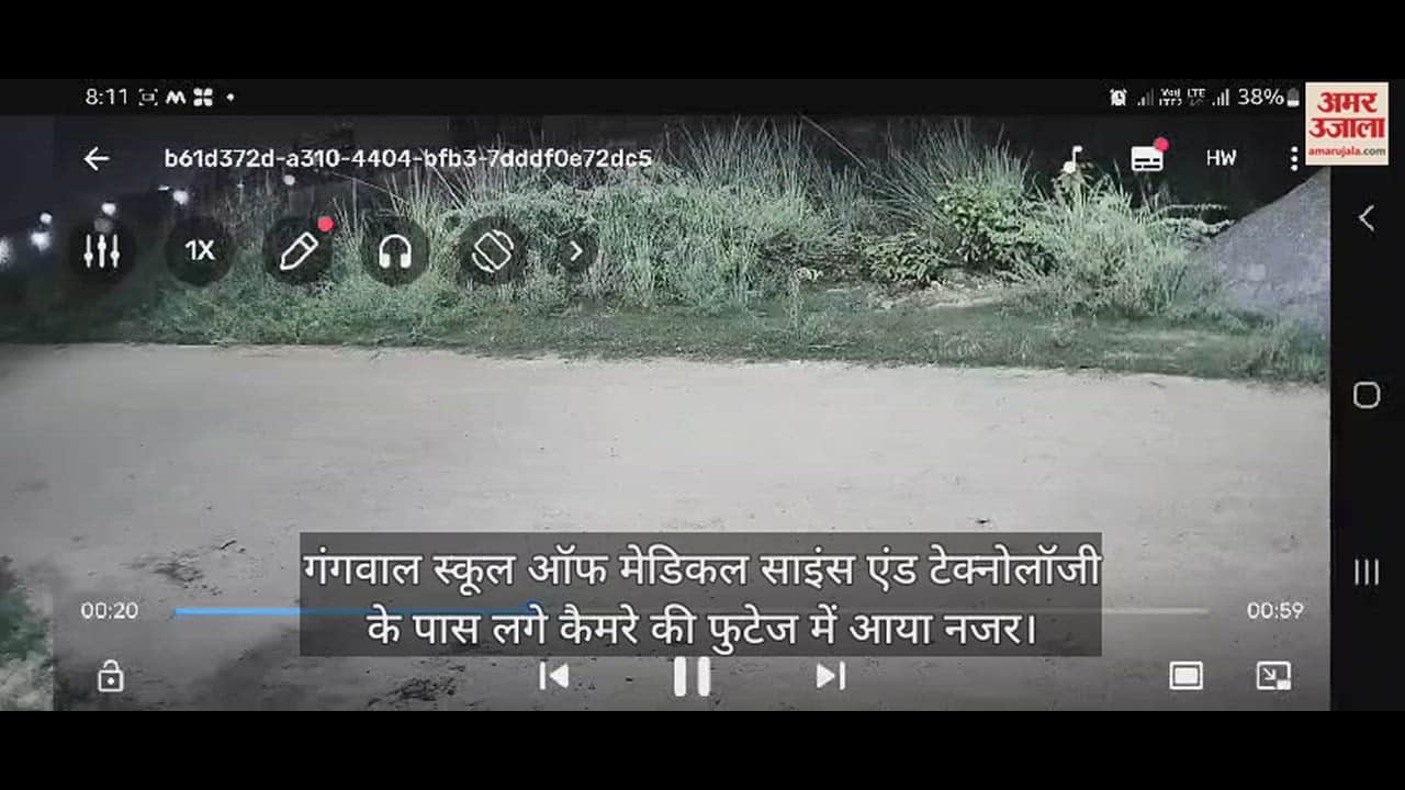 VIDEO : कानपुर आईआईटी में टहल रहा तेंदुआ कैमरे में कैद, फुटेज में आया नजर…दो पिंजड़े लगाए गए