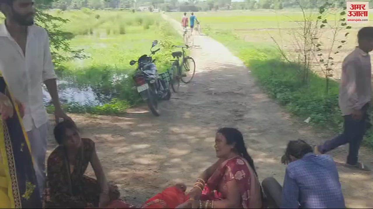 VIDEO : pickup collided with tree in ballia one dead and three injured family returning wedding procession