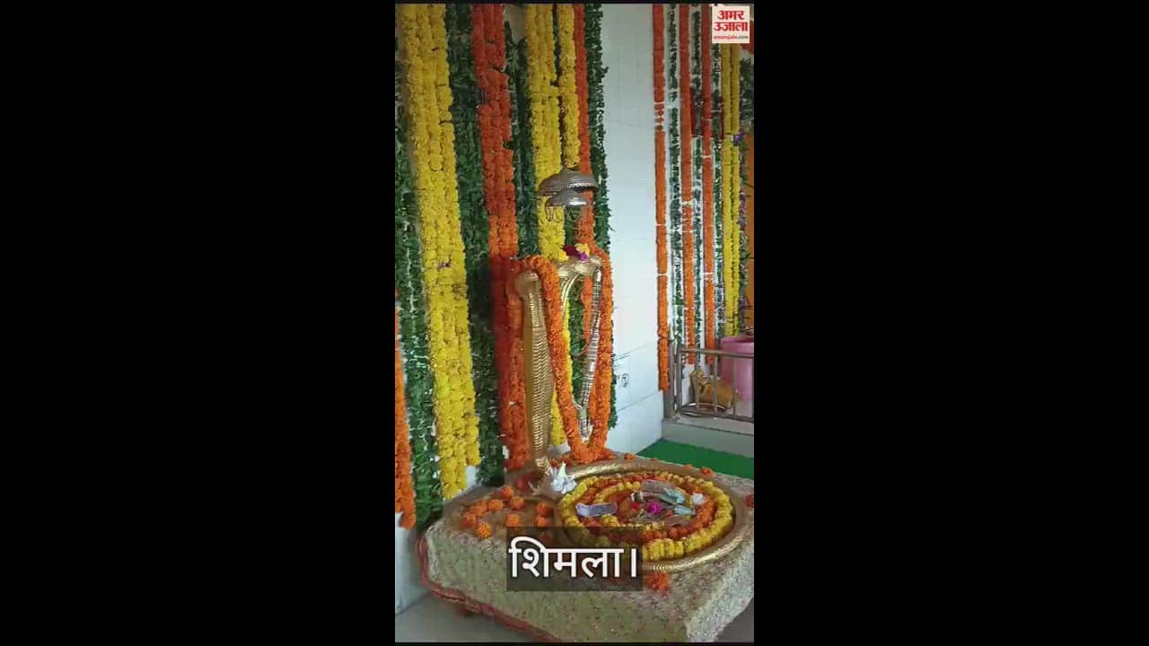 VIDEO : Special prayers were offered at Mahunag Temple Shagin Shimla