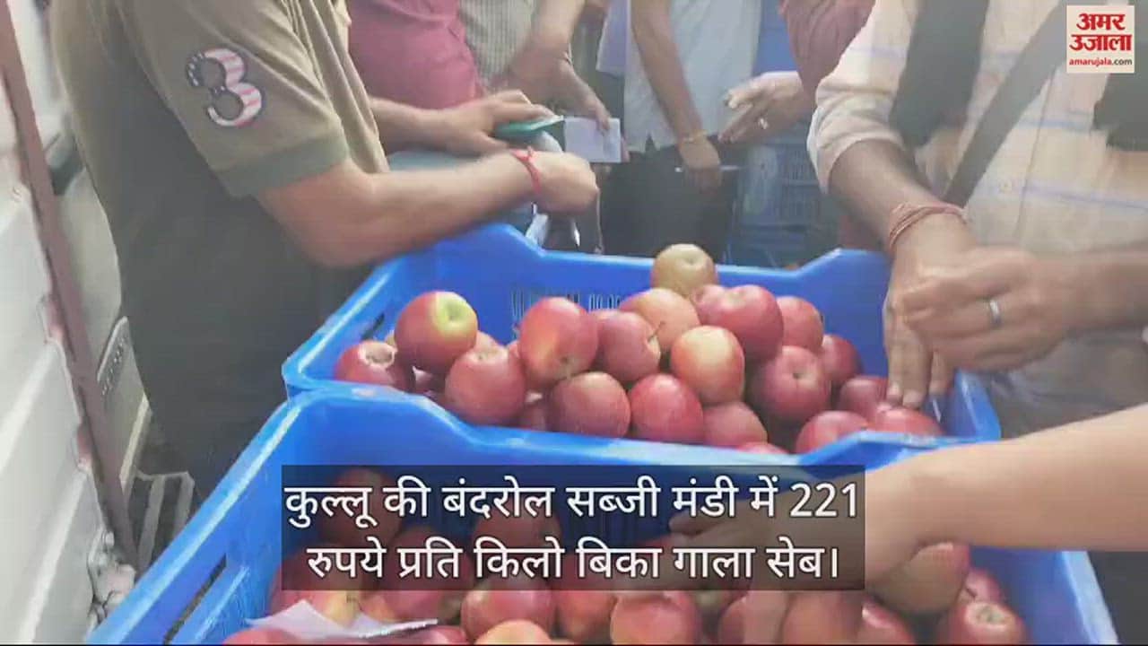 VIDEO : Gala apple sold at Rs 221 per kg in Bandrol vegetable market of Kullu