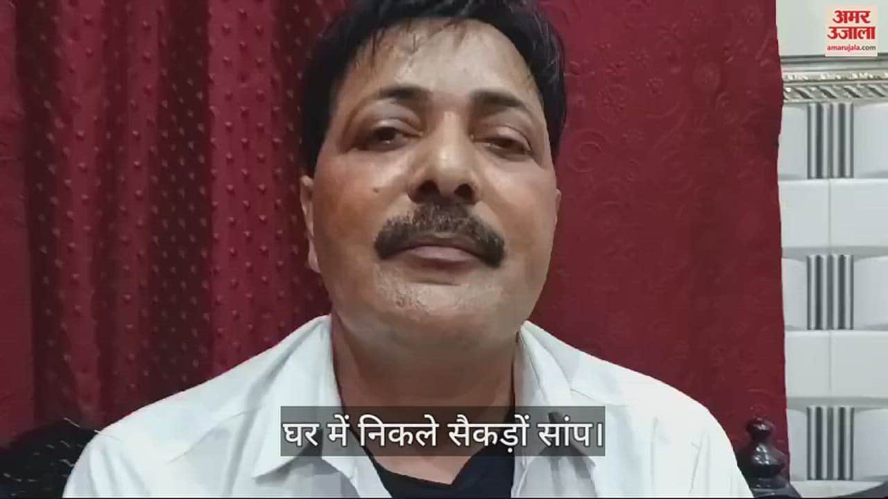 VIDEO : More than 100 snakes were found in a person house in Baghpat