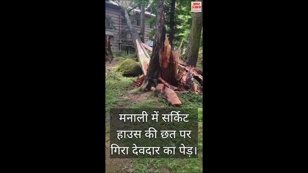 VIDEO : deodar tree fell on the roof of Manali's Circuit House