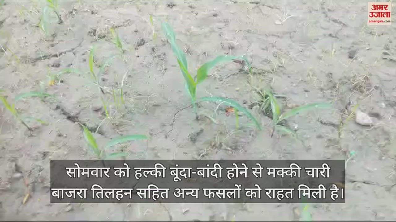 VIDEO : Light drizzle in Una today people got relief