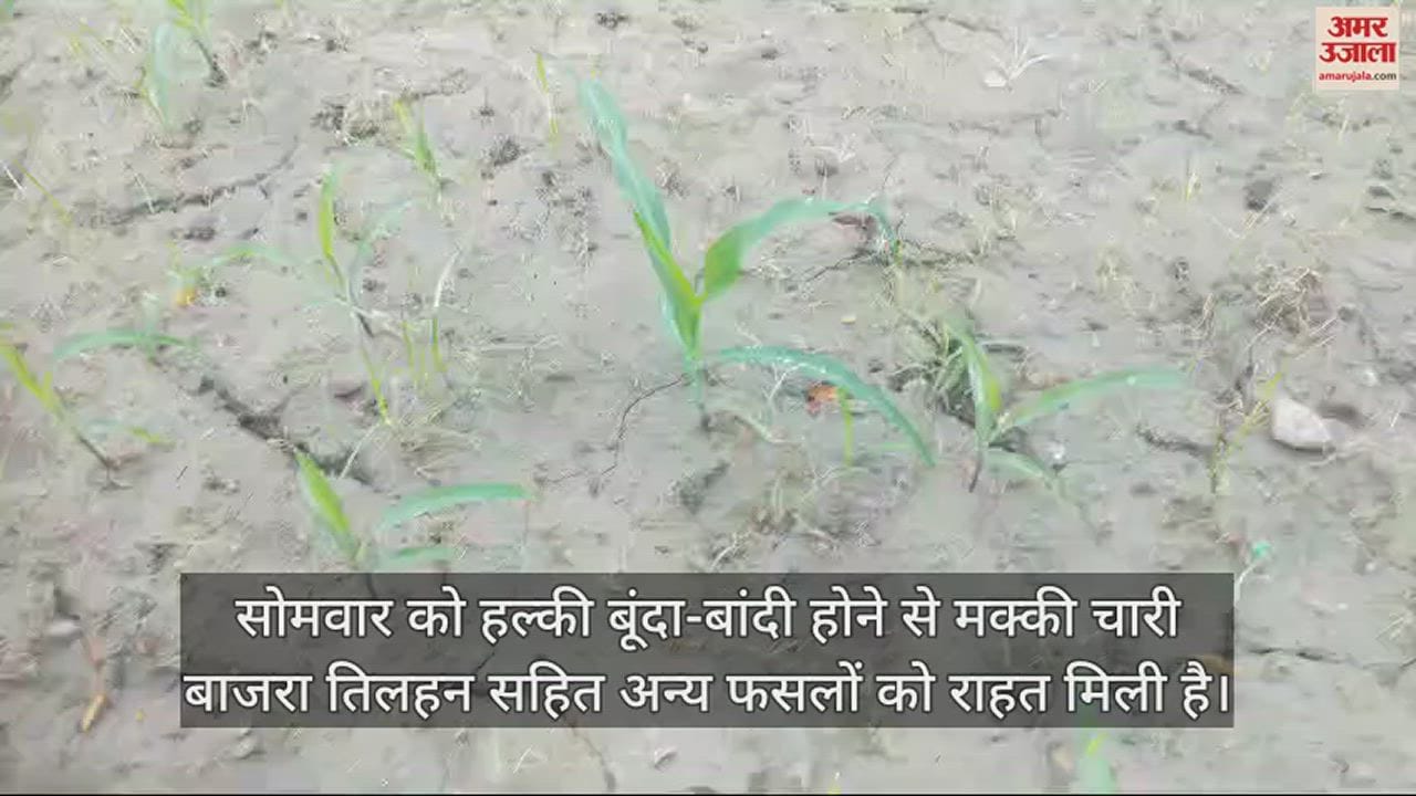 VIDEO : Light drizzle in Una today people got relief