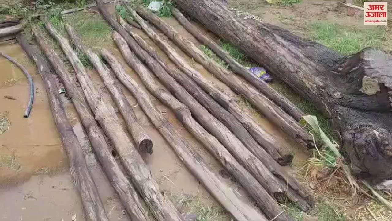 VIDEO: Six murders in land dispute: Retired soldier killed mother, brother, his wife, three children In Ambala