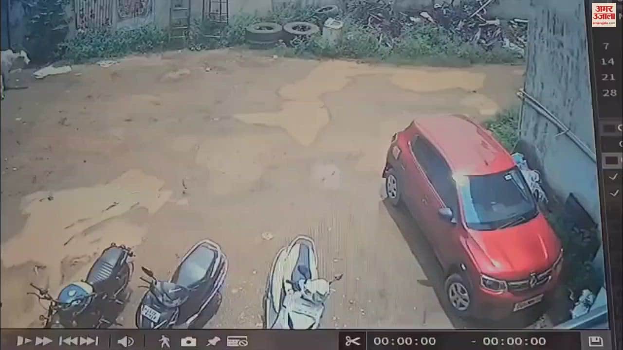 VIDEO : अजब-गजब है ये चोर; चुराता है लेडीज अंडर गारमेंट्स