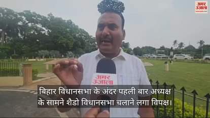 VIDEO : mimicry of cm nitish kumar in bihar vidhan sabha bihar news