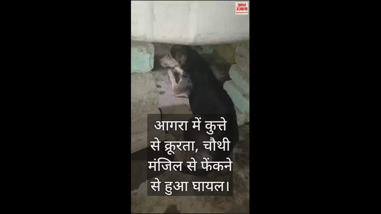 VIDEO : आगरा में कुत्ते से क्रूरता, चौथी मंजिल से फेंकने से हुआ घायल; थाने पहुंचा मामला