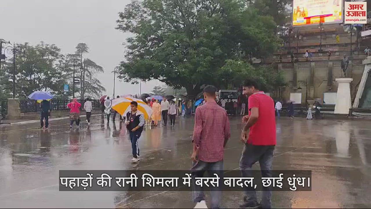 VIDEO : rainfall in shimla city today