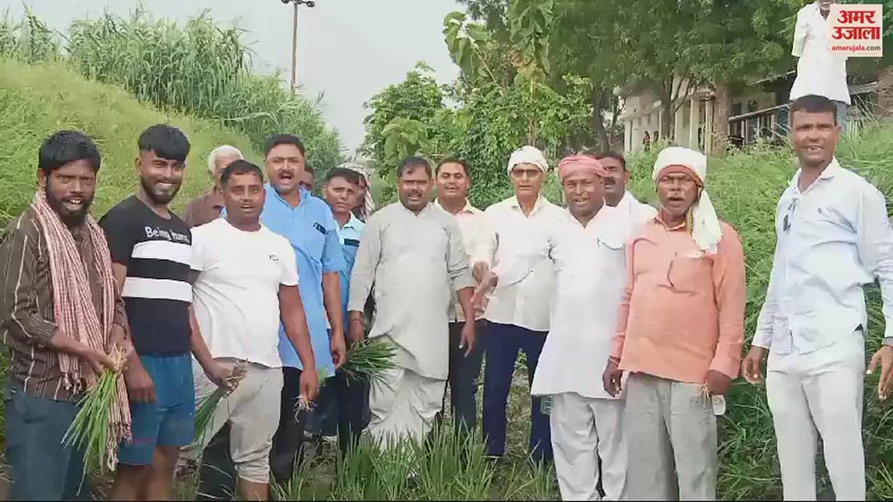 VIDEO : Congress protested against the lack of water in canal and took dig government