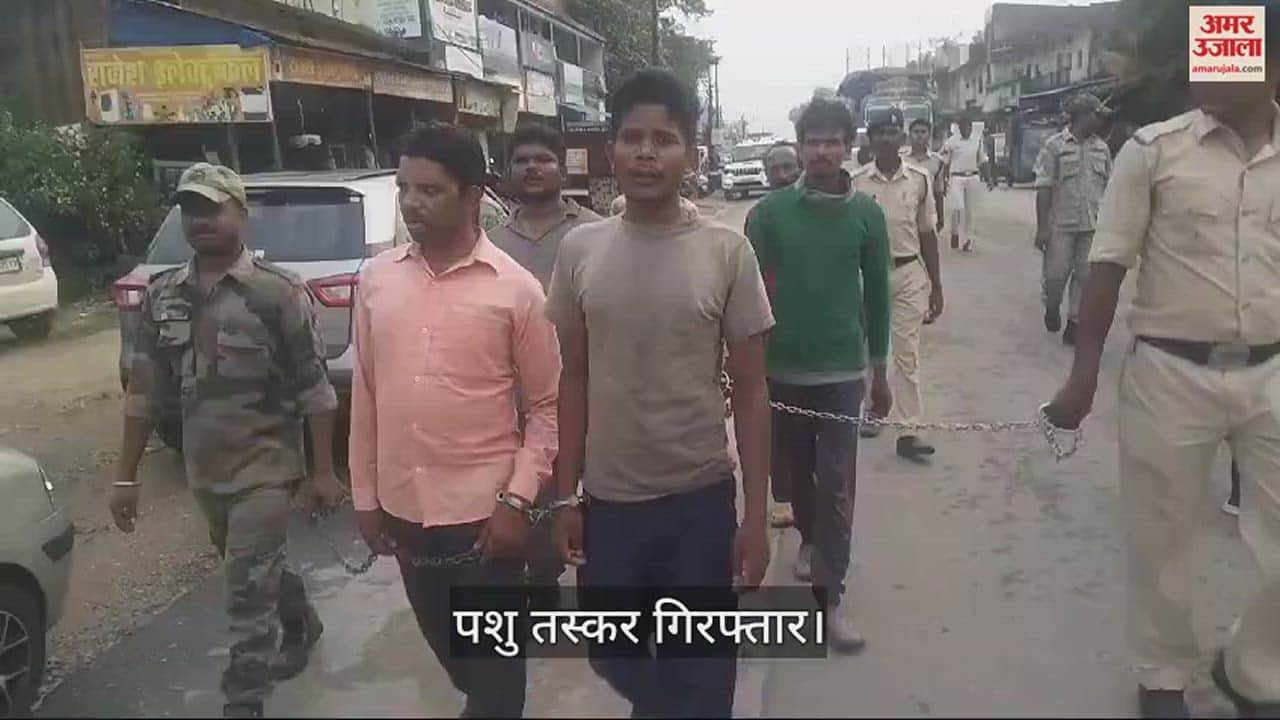 VIDEO : जशपुर पुलिस की बड़ी कार्रवाई, पशु तस्करी के सरगना समेत छह गिरफ्तार, 22 मवेशी बरामद