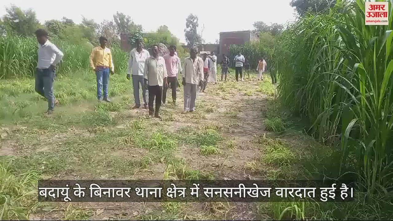 VIDEO : बदायूं में विवाहिता की हत्या, चरी के खेत में मिला शव, कार और फोन छोड़कर पति फरार