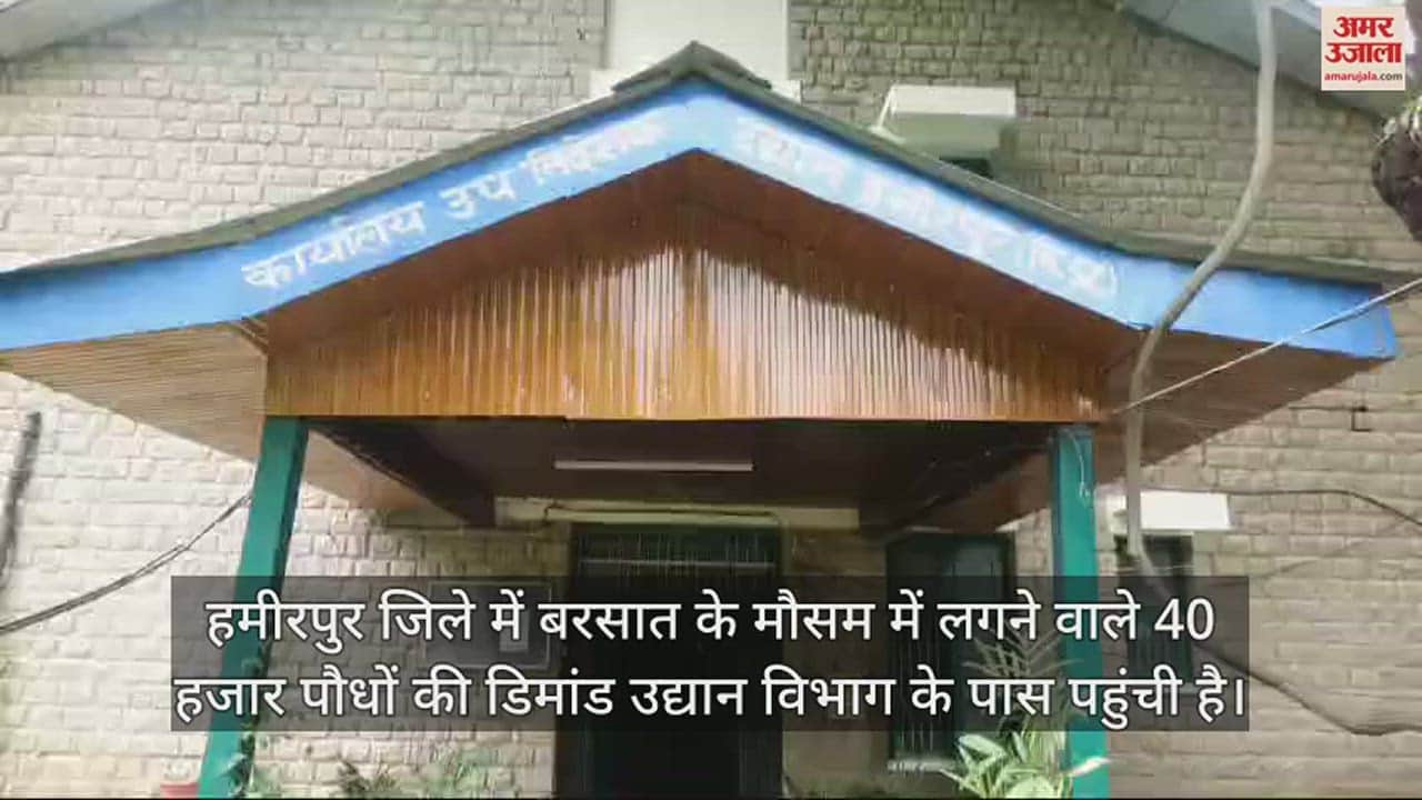 VIDEO : Demand for 40 thousand plants reached Hamirpur Horticulture Department