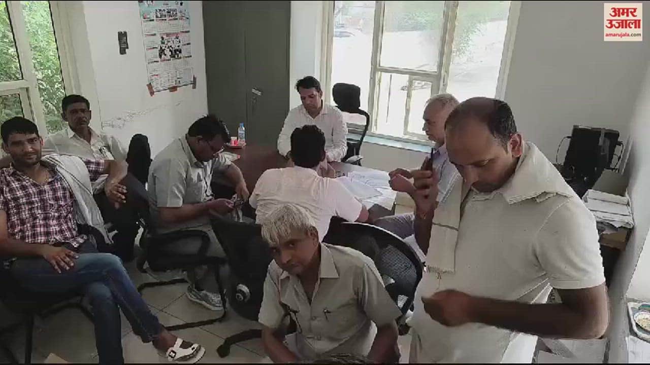 VIDEO : Seven samples of mustard taken from five warehouses in Narnaul