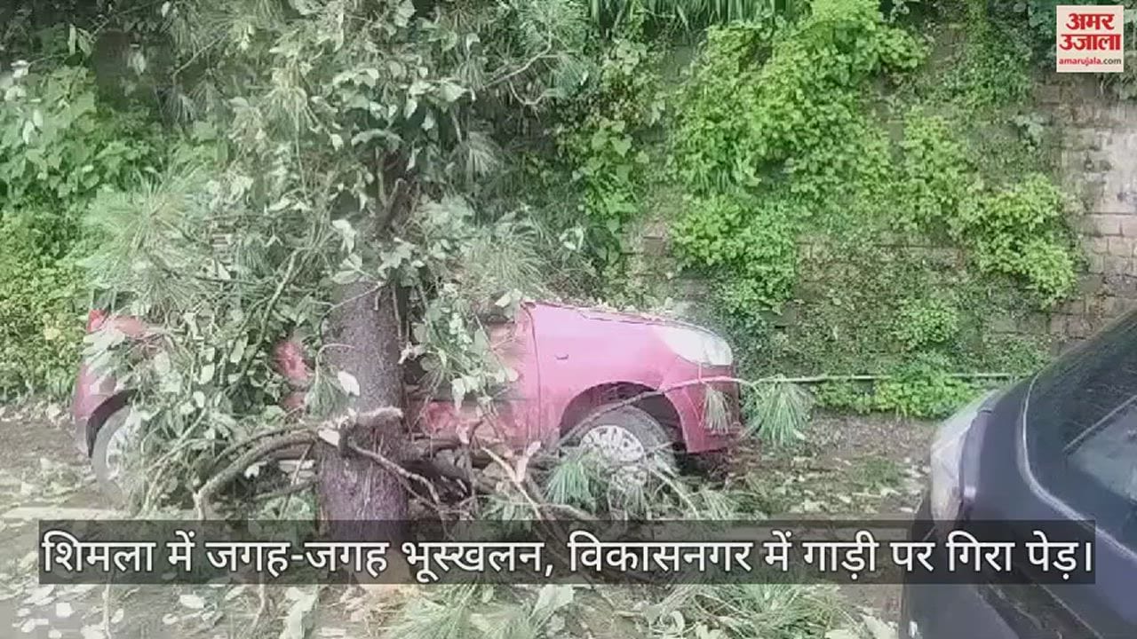 VIDEO : Landslides at many places in Shimla, tree fell on a car in Vikasnagar