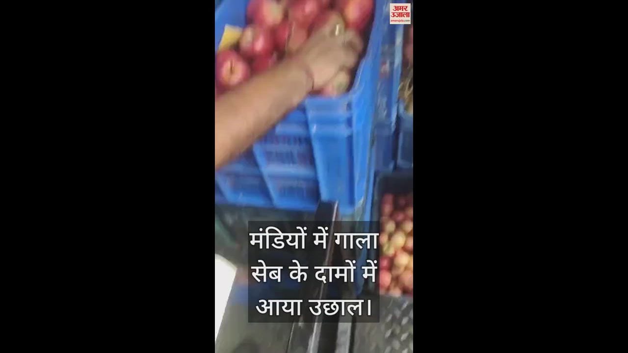 VIDEO : Gala apple prices rise in the markets
